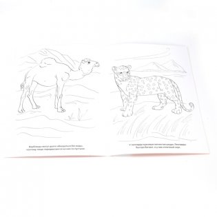 Раскраска "Животные с Чебурашкой" фото книги 2