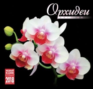 Календарь на скрепке на 2018 год "Орхидеи" (КР10-18169) фото книги