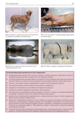 Ожирение у собак и кошек фото книги 8