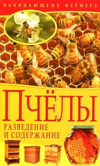 Пчёлы. Разведение и содержание фото книги
