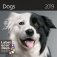 Dogs (Собаки). Календарь-органайзер на 2019 год фото книги маленькое 2