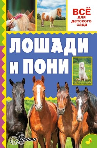 Лошади и пони фото книги