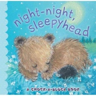 Night-Night, Sleepyhead. A Chock-a-Block Book фото книги