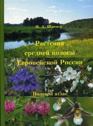 Растения средней полосы Европейской России. Полевой атлас фото книги