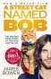 A Street Cat Named Bob. How one man and his cat found hope on the streets фото книги маленькое 2