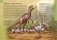 Большая детская энциклопедия динозавров фото книги маленькое 7