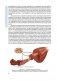 Анатомия велосипедиста. Иллюстрированное пособие: мышцы, связки суставы в движении фото книги маленькое 7