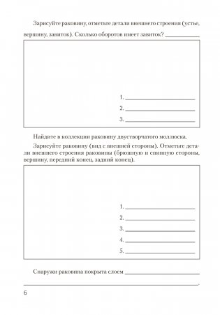 Тетрадь для лабораторных и практических работ по биологии для 8 класса. ГРИФ фото книги 3