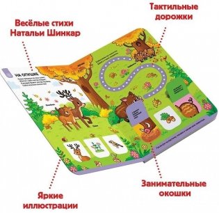 В лесу фото книги 3