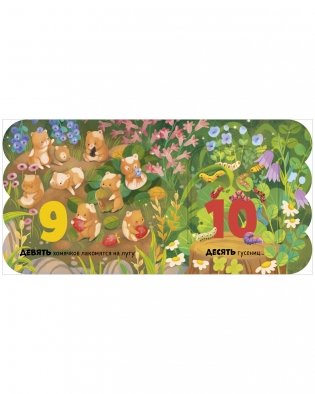 Книжка с окошками. Первый счёт фото книги 7