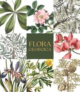 Flora Georgica. Гербарий на фарфоре фото книги