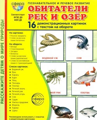 Обитатели рек и озер. 16 демонстрационных картинок с текстом на обороте фото книги