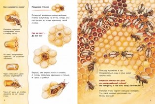 Как живёт пчёлка. Познавательные истории фото книги 3