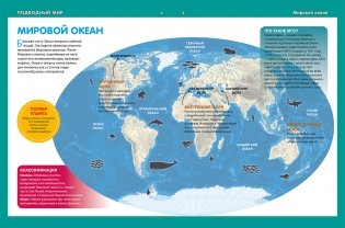 Животный мир морей и океанов. Детская энциклопедия фото книги 2