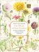 Album of plant families фото книги маленькое 2