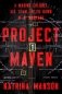 Project maven фото книги маленькое 2