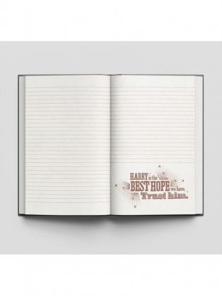 Комплект. Набор по Гарри Поттеру. Хогвартс черный (блокнот+ стикеры + значки) фото книги 4