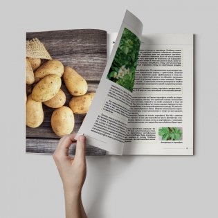 Такие разные овощи фото книги 2