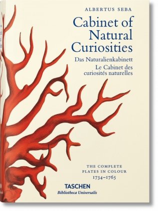 Albertus Seba. Cabinet of Natural Curiosities фото книги