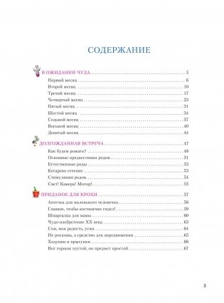 Большая книга российской мамы фото книги 4