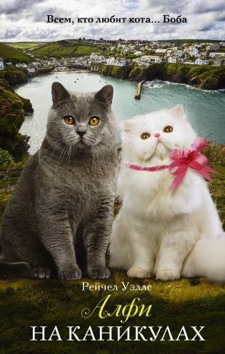 Алфи на каникулах фото книги