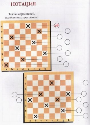 Тигренок в шахматном королевстве. Рабочая тетрадь фото книги 4