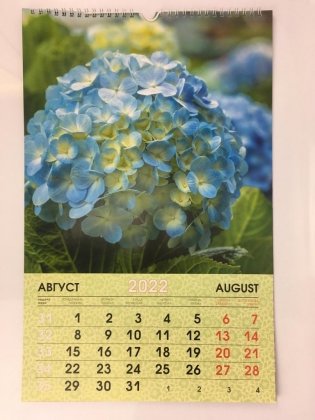 Календарь настенный перекидной на 2022 год "Цветы. 4", 280х435 мм фото книги 2