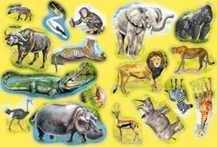 Кто живет в Африке фото книги 2