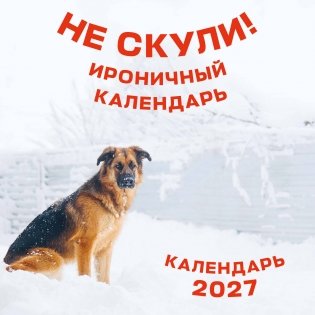 Не скули. Ироничный календарь настенный на 2027 год (300х300 мм) фото книги