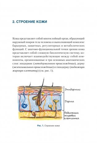 Дерматохирургия. Хирургия новообразований кожи и ее придатков: практическое руководство фото книги 9