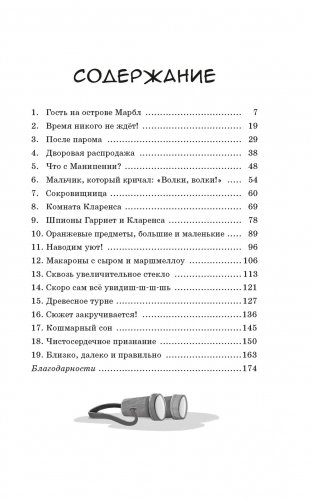 Пропажа на распродаже фото книги 2