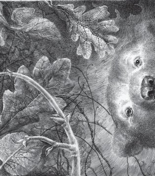 Когда мне хочется молчать фото книги 2