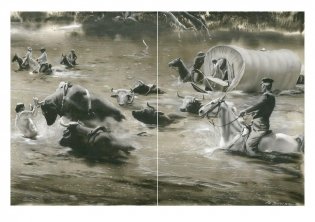 Дети капитана Гранта фото книги 10