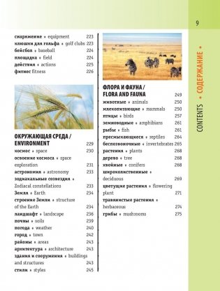 Англо-русский визуальный словарь с транскрипцией фото книги 10