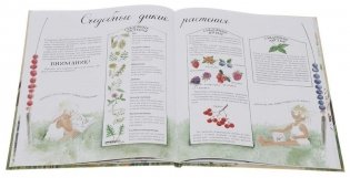 Круглый год фото книги 2