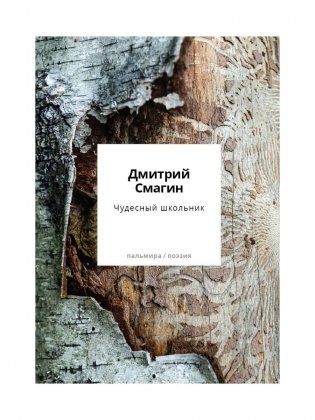 Чудесный школьник: сборник стихотворений фото книги