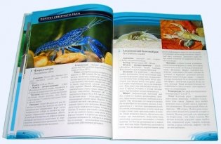 Креветки и раки в аквариуме фото книги 6