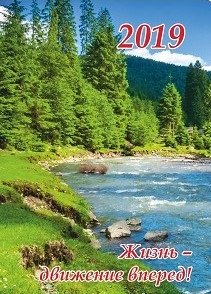 Карманный календарь на 2019 год "Жизнь - движение вперед!", с подставкой фото книги