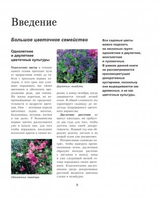 Садовые цветы. Подробное иллюстрированное руководство фото книги 9