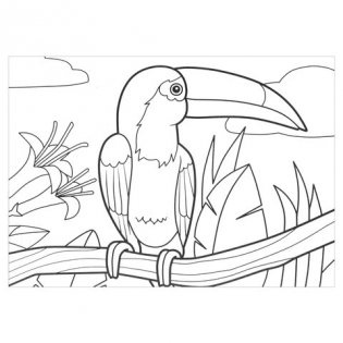 Раскраска по номерам "Птицы", А4, с восковыми мелками, 4 рисунка фото книги 8