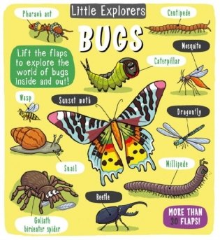 Little Explorers: Bugs. Lift-the-flap board book фото книги