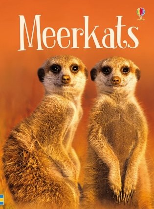 Meerkats фото книги