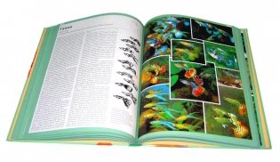 Атлас аквариумных рыб фото книги 4