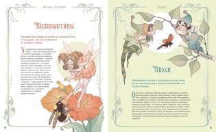 Атлас фей и других волшебных существ фото книги 3