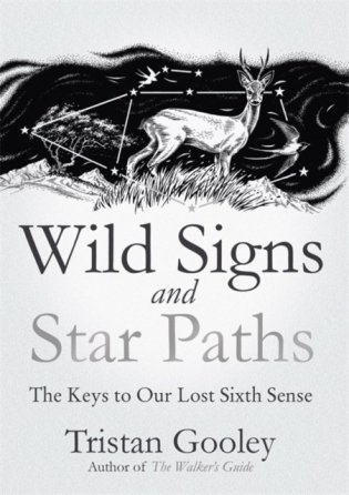 Wild signs and star paths фото книги
