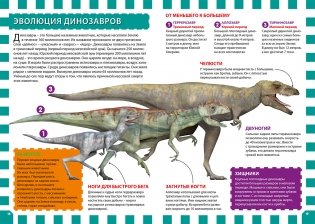 Динозавры. Детская энциклопедия фото книги 5