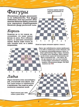 Шахматы фото книги 8