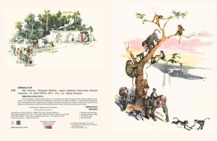 Про обезьян фото книги 8