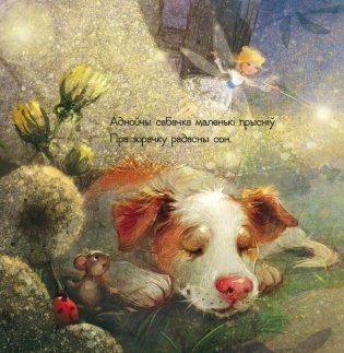 Сабака i зорачка фото книги 2