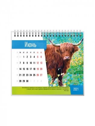 Календарь-домик на 2021 год "Символ года 2" (евро) фото книги 7